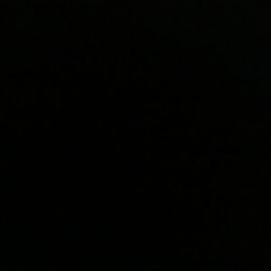 Meet your Posher, Lonnie